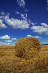 Hey rolls in the field