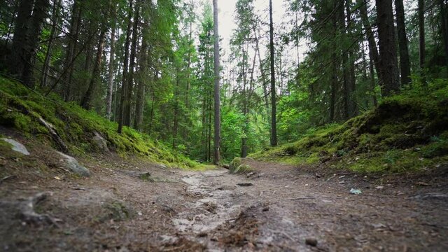 Outcrops of Devonian sandstone on the banks of Ahja river, Estonia. Slow motion 
