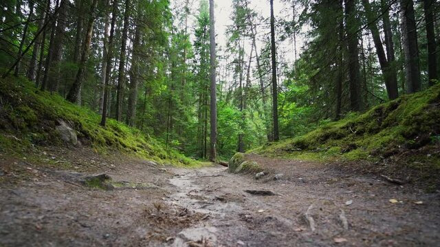 Outcrops of Devonian sandstone on the banks of Ahja river, Estonia. Slow motion 