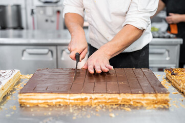 Close-up of a pastry chef cutting a large cake in portions at pastry shop. High quality 4k footage