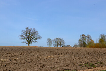 Obraz premium plowed field and blue sky
