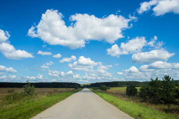 Fototapeta na wymiar A road in summer nature with green trees and blue sky