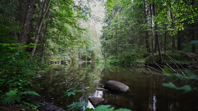 Outcrops of Devonian sandstone on the banks of Ahja river, Estonia. Slow motion 