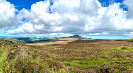 Panorama of the beautiful moors of the Isle of Man, with heather and gorse growing with autumn Fall colours