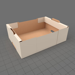 Retail cardboard tray box 2