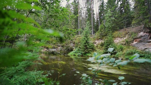 Outcrops of Devonian sandstone on the banks of Ahja river, Estonia. Slow motion 