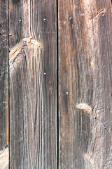 Sunburnt wood, aged by wind and time. Old wood texture. Weathered cut of tree rings.