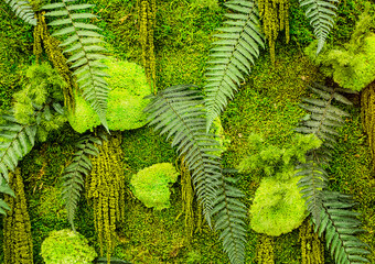 Full Frame Background of Fresh Decorative Green Plants Wall