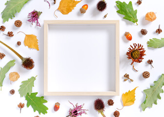 Autumn composition. Empty frame decorated with dry leaves, flowers and plants. Seasonal autumn concept. White background. Flat lay, top view, copy space.