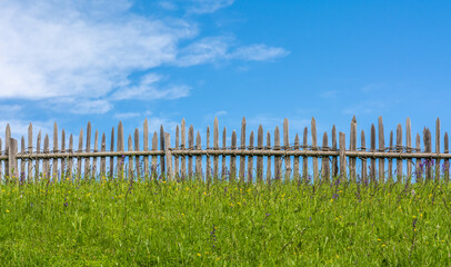 Fototapeta premium flower meadow and green grass in front of a wooden fence against a blue sky and clouds. concept of quiet and silence