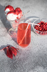 Morse of red cranberries and ice cream with jam in a glass bowl, red autumn leaves on the table . Vertical orientation
