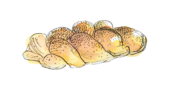 Watercolor illustration. Drawn sweet bun pigtail