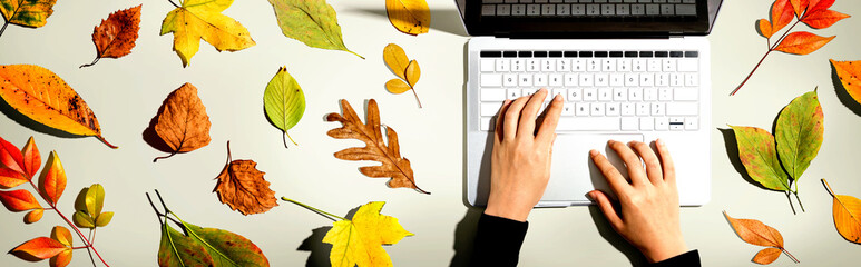 Autumn leaves with person using a laptop computer from above