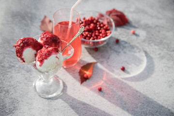 Ice cream with jam, vitamin drink from fresh cranberries and berries in a glass plate on a light background. Horizontal orientation