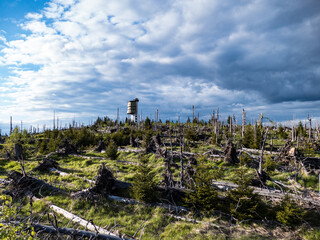 Fototapeta premium polednik lookout tower in sumava czechia