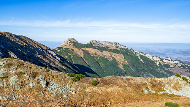 Nosal Bilder Durchsuchen 840 Archivfotos, und Videos