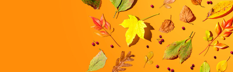 Colorful autumn leaves overhead view - flat lay