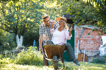 Old man drives his wife in garden cart.They making fun and joying at the backyard.