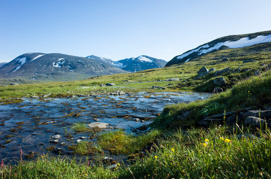 Swedish Lapland landscape with small river and green meadow. Arctic environment of Scandinavia in summer sunny day with blue sky. Nordkalottruta Arctic hiking Trail in northern Sweden