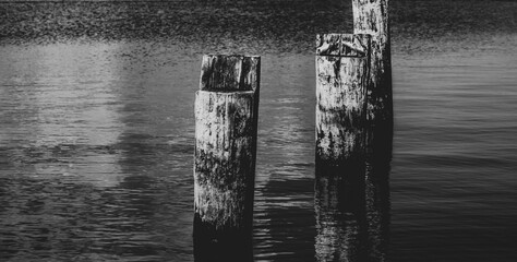Black and white photography of three wooden pales in water.