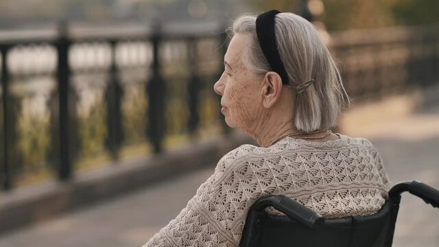 Disable senior woman sit on wheelchair at park