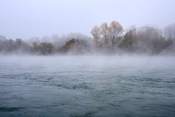 Obraz na płótnie Canvas Nebel im Herbst über dem Rhein bei Speyer