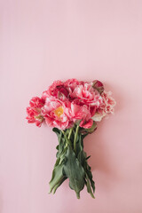 Beautiful peony tulip flowers bouquet on pink background