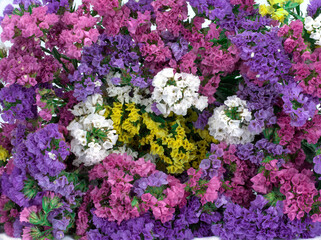 Obraz premium Abstract background of colorful flowers, limonium. Close-up.