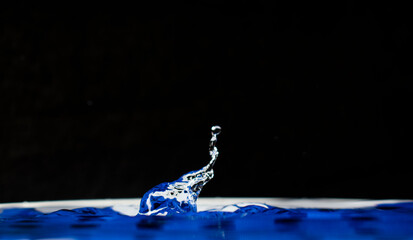 Elefante de agua