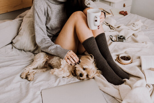 Coffee and breakfast in bed with an adorable dog