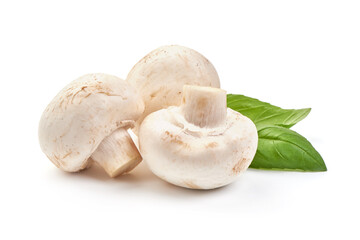 Champignons, close-up, isolated on white background