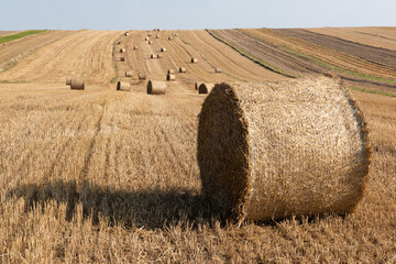 Late Summer Background. Hay Bale in Meadow. Picturesque Countryside Landscape