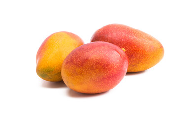 mango fruit isolated