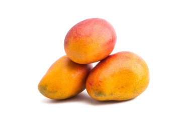 mango fruit isolated