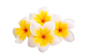 Kissenbezug Plumeria-Blume isoliert © ksena32