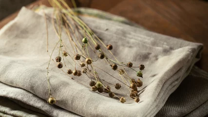 Fotobehang Bunch of dry flax plants on linen cloth © natagolubnycha