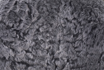 background and texture of gray lamb wool