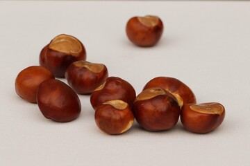 close up of chestnuts on white