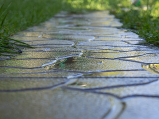 stone wet garden path