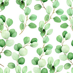 Fototapeta na wymiar watercolor seamless pattern with eucalyptus leaves on a white background. vintage drawing, green leaves of eucalyptus tropical plant. design for weddings, wallpapers, fabrics, cards, invitations.