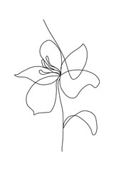 Black and white illustration of lily flower continuous line drawing.Hand drawn vector decorative element for invitation and decoration, postcard, flyer, banner, website