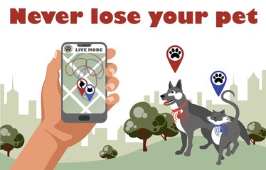 Gps control tracker for walking cat and dog. Pet tracking application. Smartphone with city map and navigation pins show pet movement. Tracking app.
