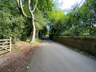 Looking up, Bog Lane, with a farm gate, old trees, and a red brick wall near, Stirton, Skipton, UK