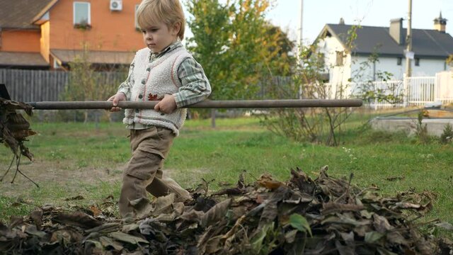 Little Child Rakes Leaves. Boy Helps Cleaning in House Backyard. Autumn Evening Rural Scene. Slow motion