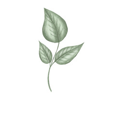 green leaves nursery wall art element, forest greenery
