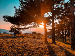 Fototapeta premium sunset in the park