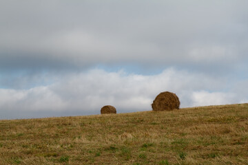 Bale siana na polu © WGBN