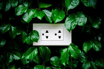 A white home electrical outlet on a leaves wall.