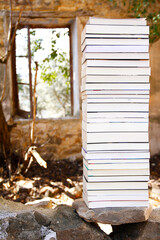 pile of books in mountain cabin