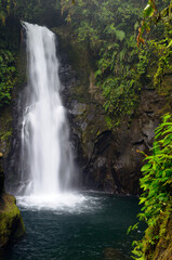 Magia Blanca waterfall in rainforest at La Paz Waterfall Gardens Costa Rica